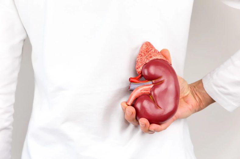 Kesehatan Ginjal